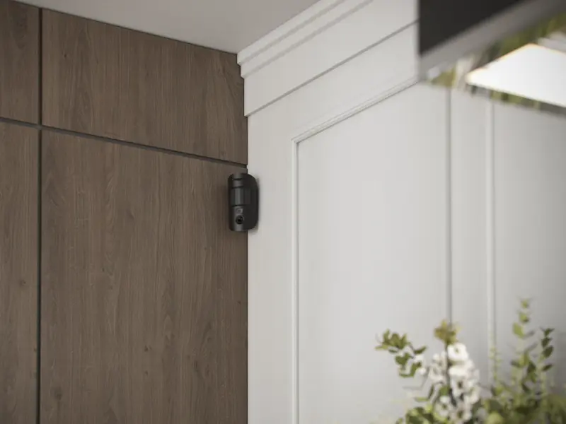 Motion Detector with Camera