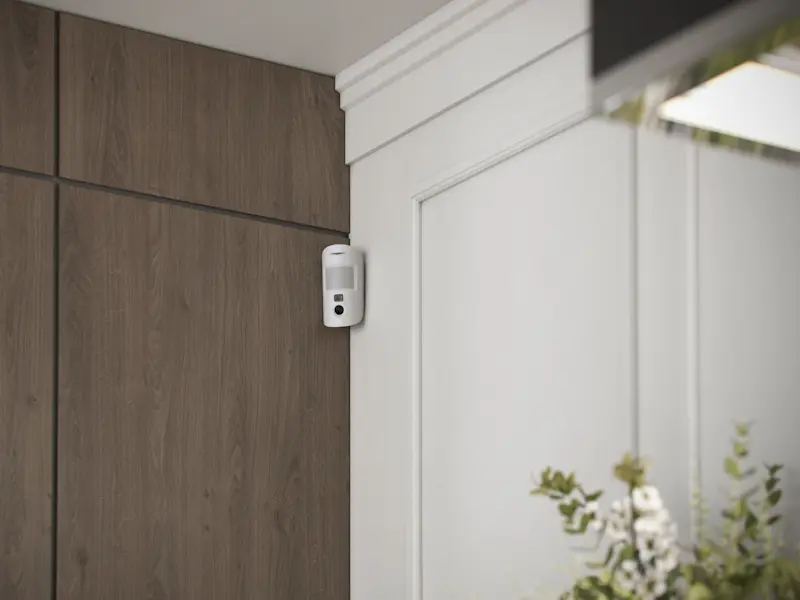 Motion Detector with Camera