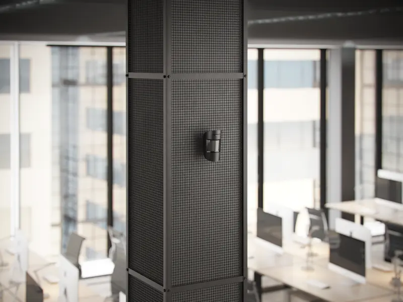 Motion Detector with Camera
