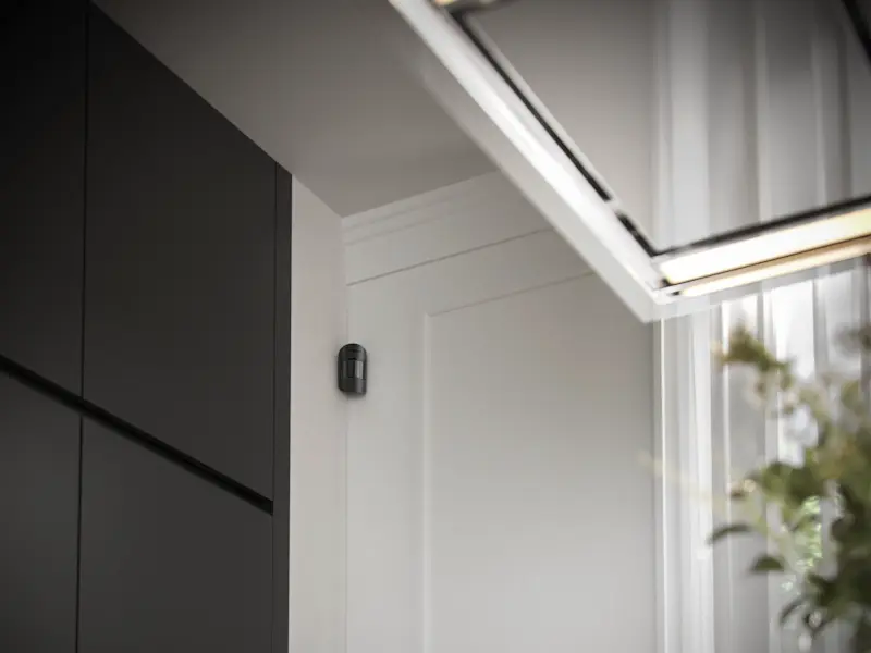 Motion Detector with Camera