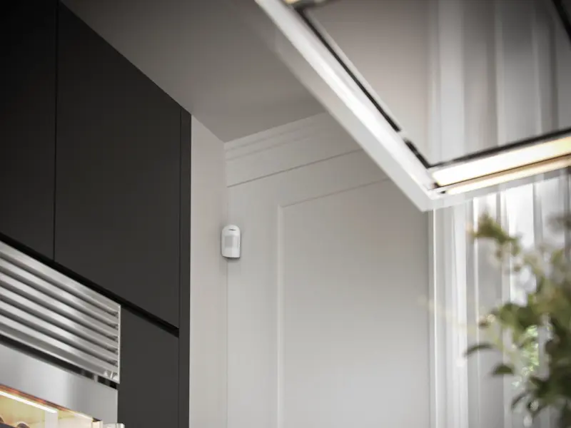 Motion Detector with Camera